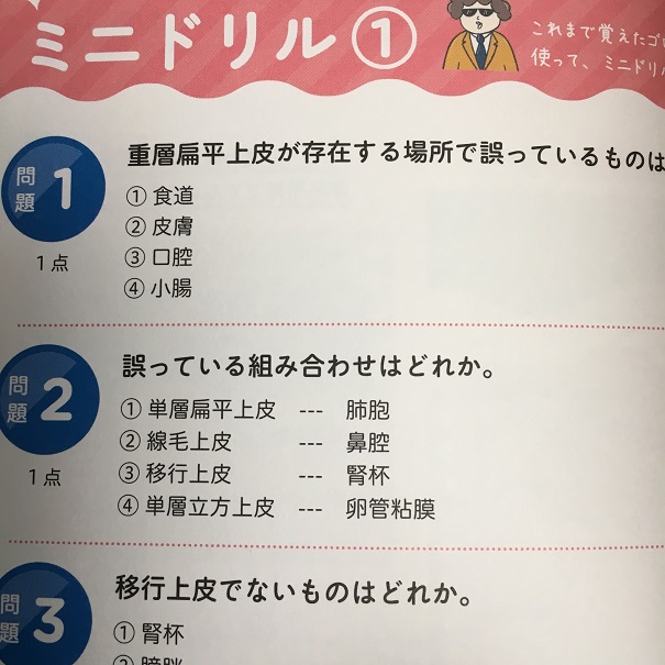 語呂合わせで覚える 解剖生理学 超速 ゴロ勉 で楽しく国家試験の勉強をしよう インフルケンサー